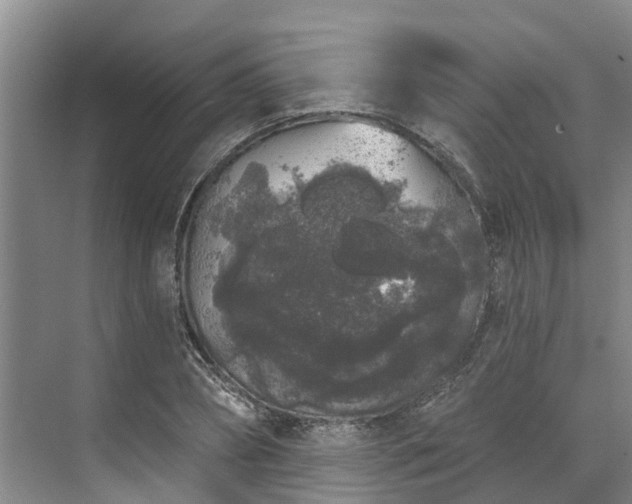 X0000071770882200607071259