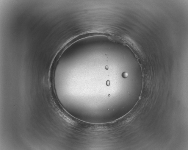 X0000071770884200607071259