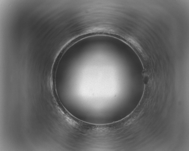 X0000071770888200607071259