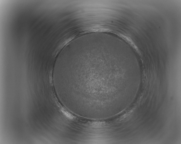 X0000071770889200607071259