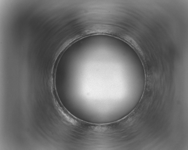 X0000071770890200607071259