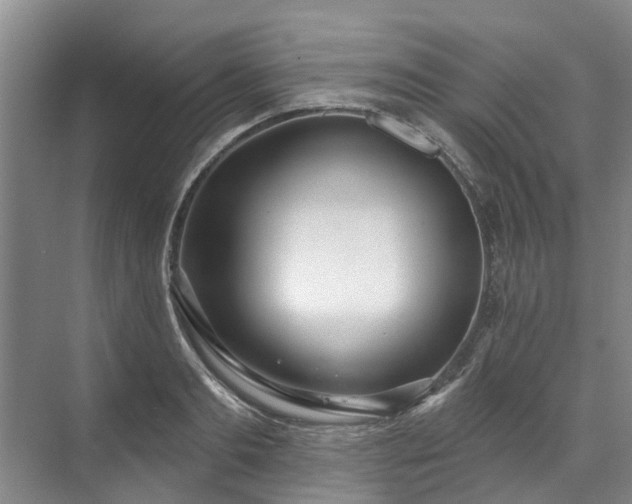 X0000071770893200607071259