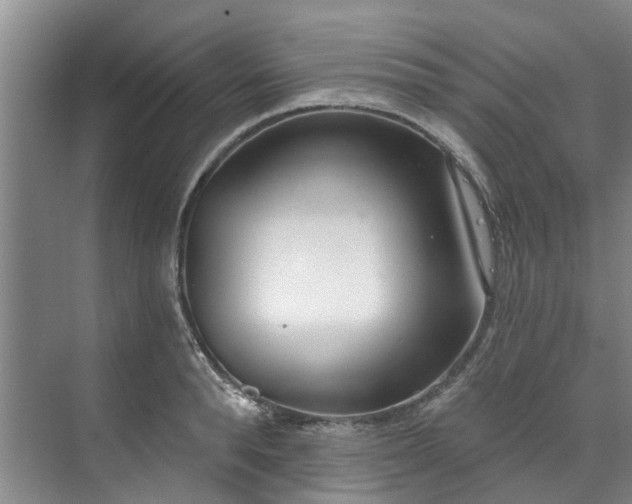 X0000071770896200607071258