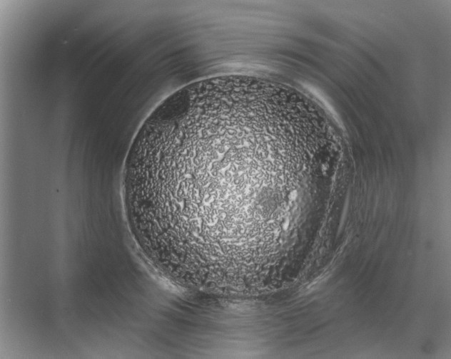 X0000071770899200607071258