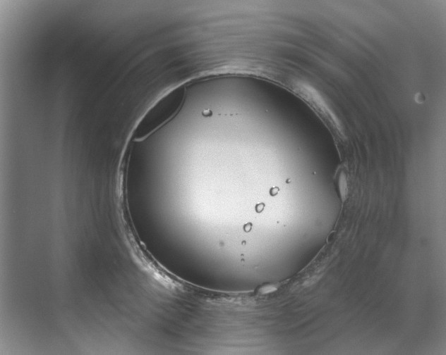 X0000071770900200607071258