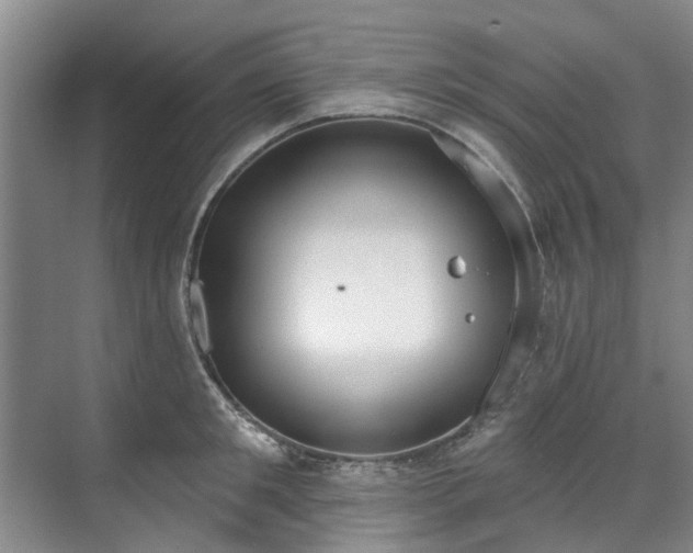 X0000071770901200607071258