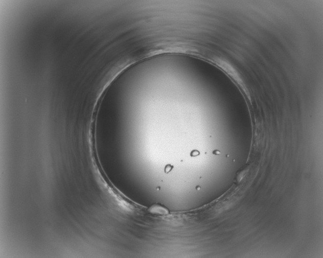 X0000071770906200607071258