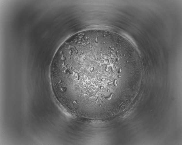 X0000071770907200607071258