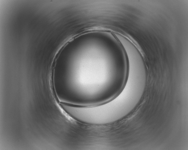 X0000071770909200607071258