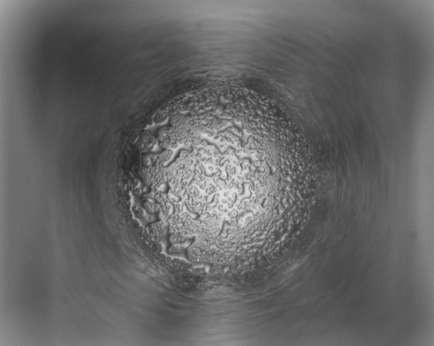 X0000071770913200607071257