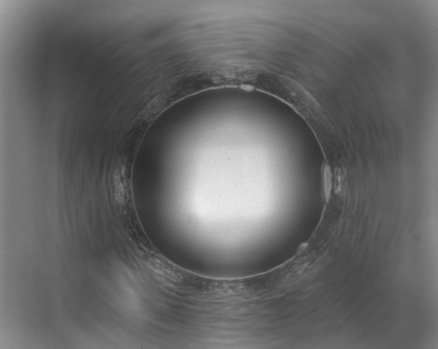 X0000071770915200607071257