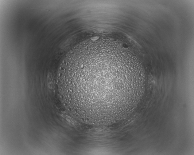 X0000071770917200607071257