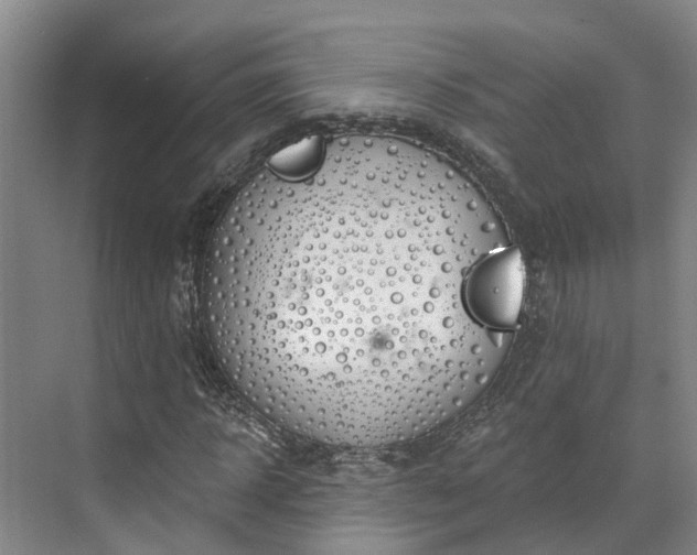 X0000071770918200607071257