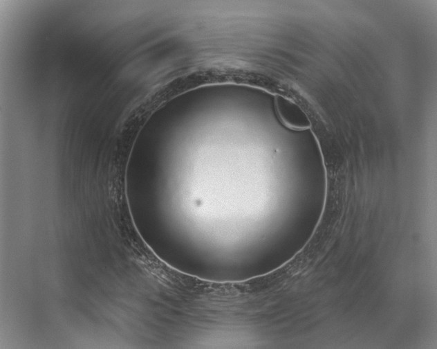 X0000071770919200607071257