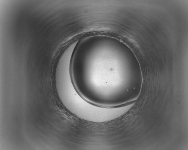 X0000071770920200607071258