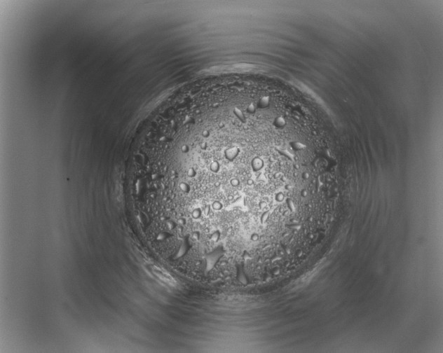 X0000071770921200607071258