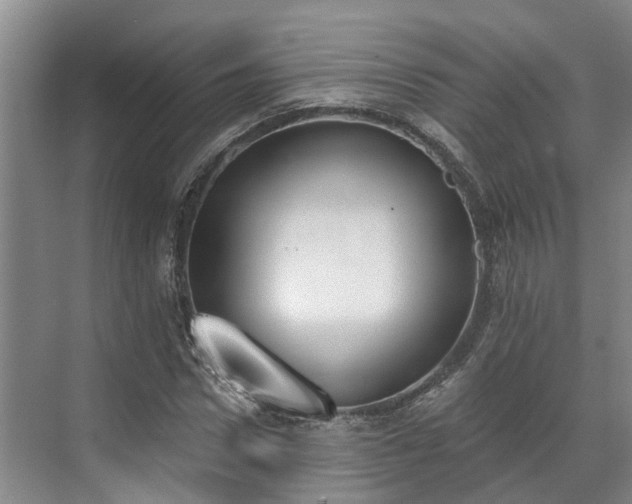 X0000071770922200607071258