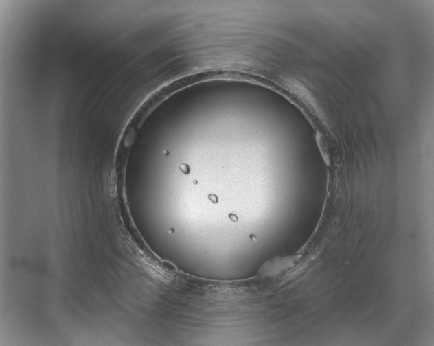 X0000071770924200607071258