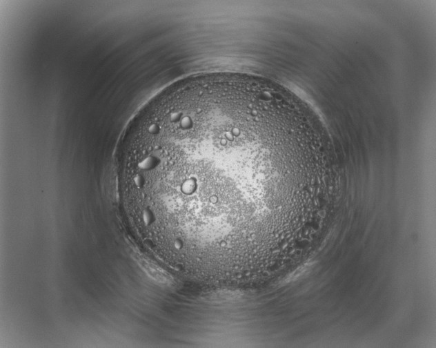 X0000071770925200607071258