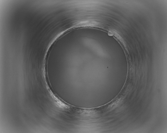 X0000071770941200607071258