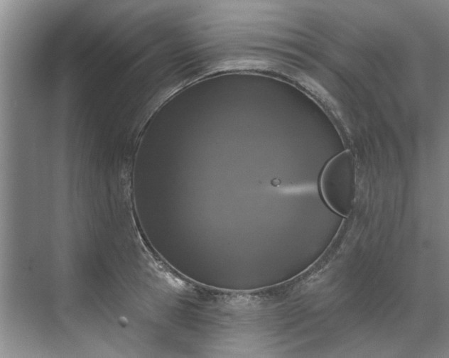 X0000071770945200607071258