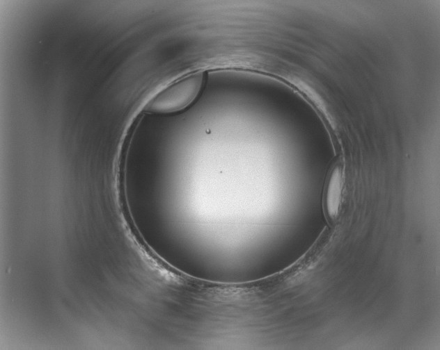 X0000071770949200607071258