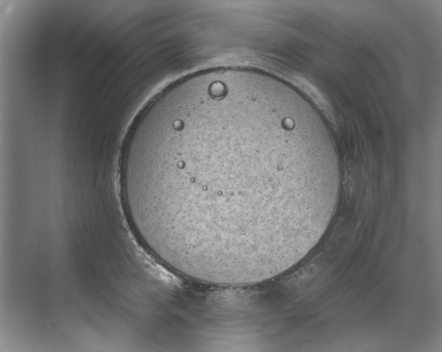 X0000071770950200607071258