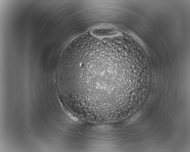 X0000071770953200607071258