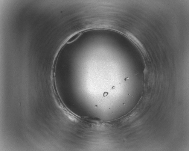 X0000071770956200607071258