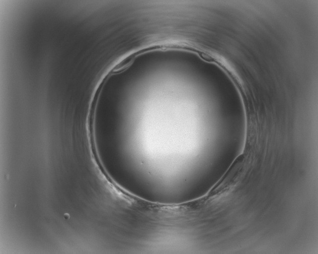 X0000071770959200607071258