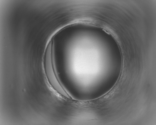 X0000071770960200607071258