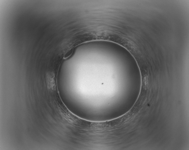 X0000071770963200607071257