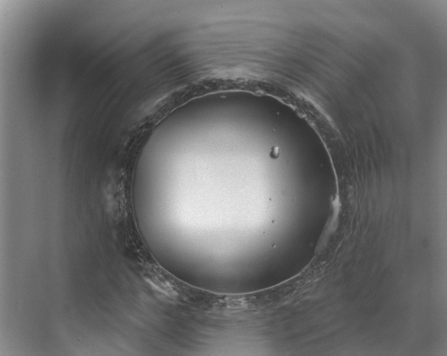 X0000071770968200607071257