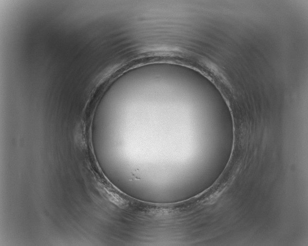 X0000071770970200607071257