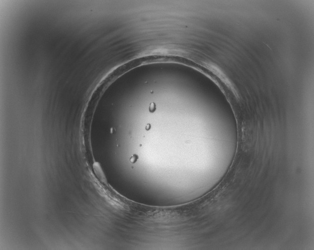 X0000071770972200607071257