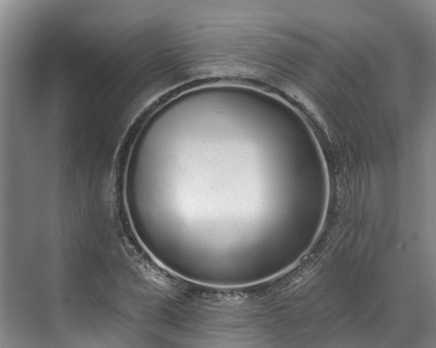 X0000071770975200607071257