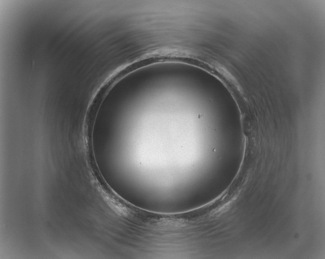 X0000071770981200607071257