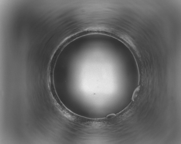 X0000071770984200607071257