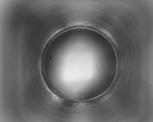 X0000071770991200607071257