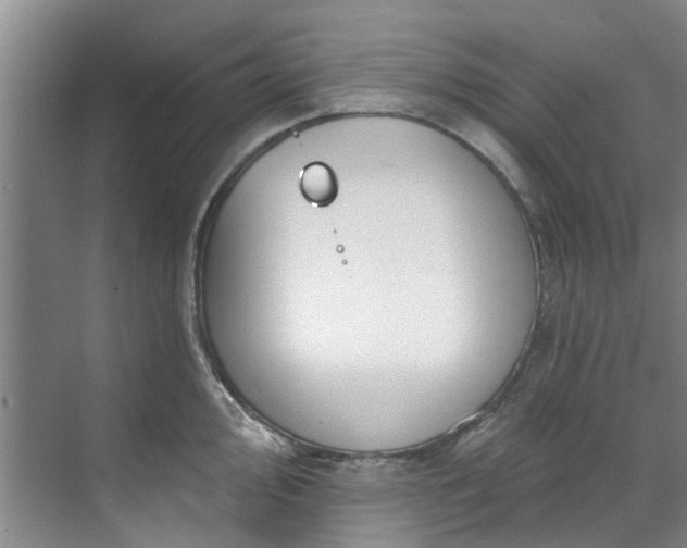 X0000071771000200607071257