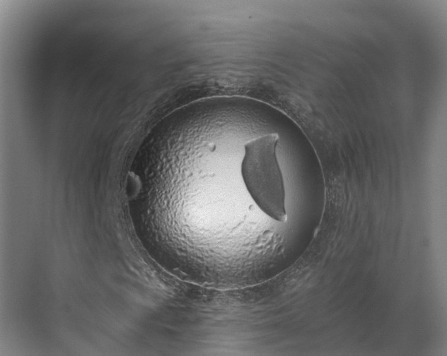 X0000071771009200607071256