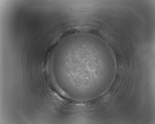 X0000071771010200607071256