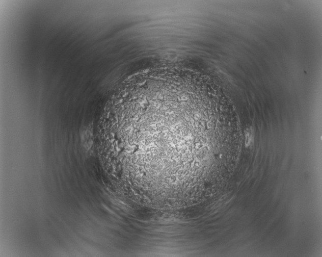 X0000071771011200607071256