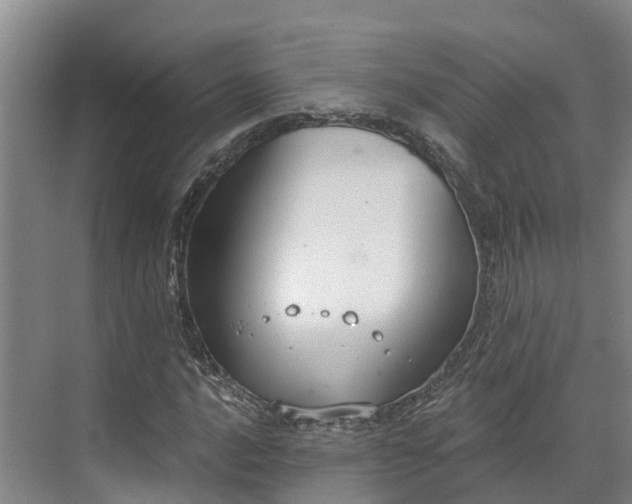 X0000071771016200607071256