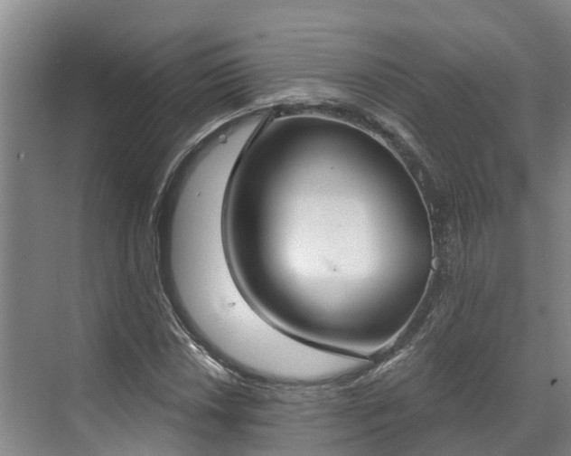 X0000071771018200607071256