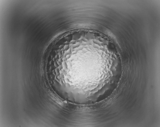 X0000071771019200607071256