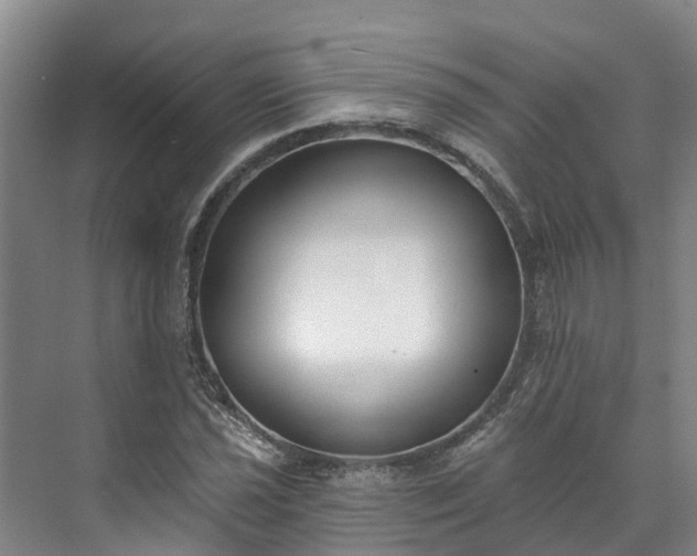 X0000071771021200607071256