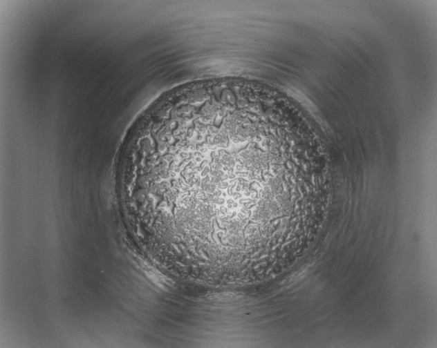 X0000071771023200607071256