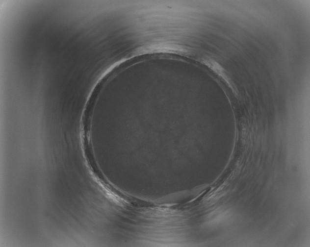 X0000071771024200607071256