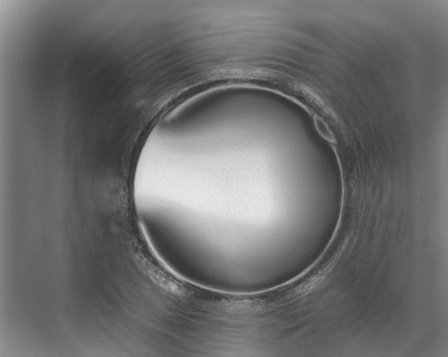 X0000071771025200607071256